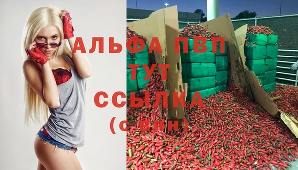 прущие крисы Верея