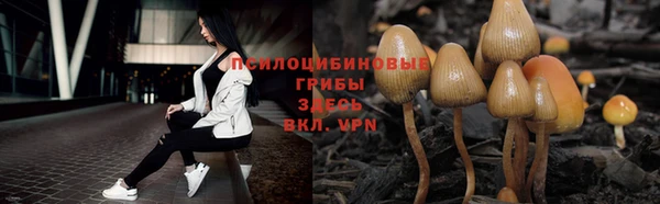 прущие крисы Верея