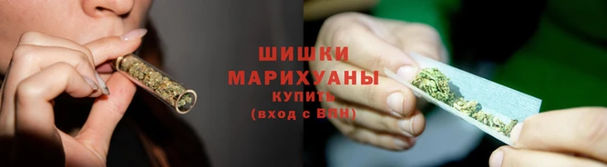 прущие крисы Верея