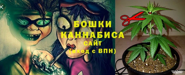 прущие крисы Верея