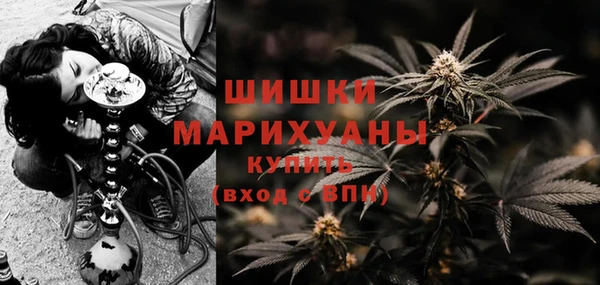 прущие крисы Верея
