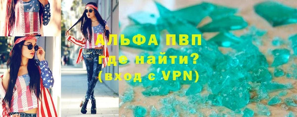 сатива Бородино