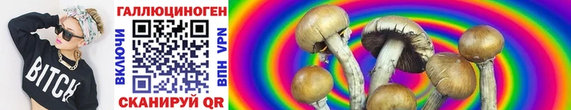 купить наркотик  Духовщина  Псилоцибиновые грибы MAGIC MUSHROOMS 